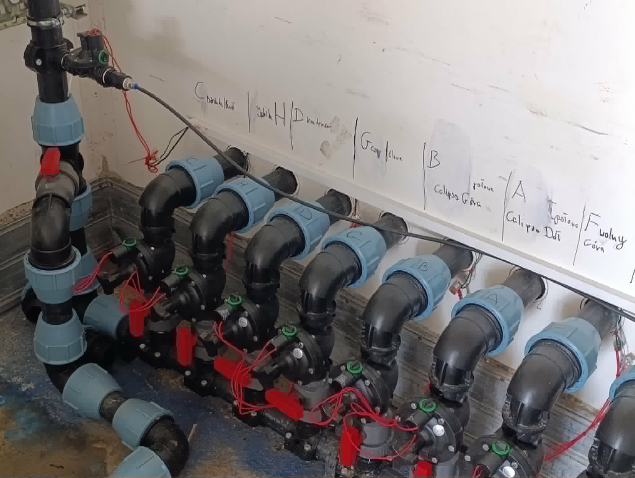 Borówka, elektrozawory w rzędach - Vodatec